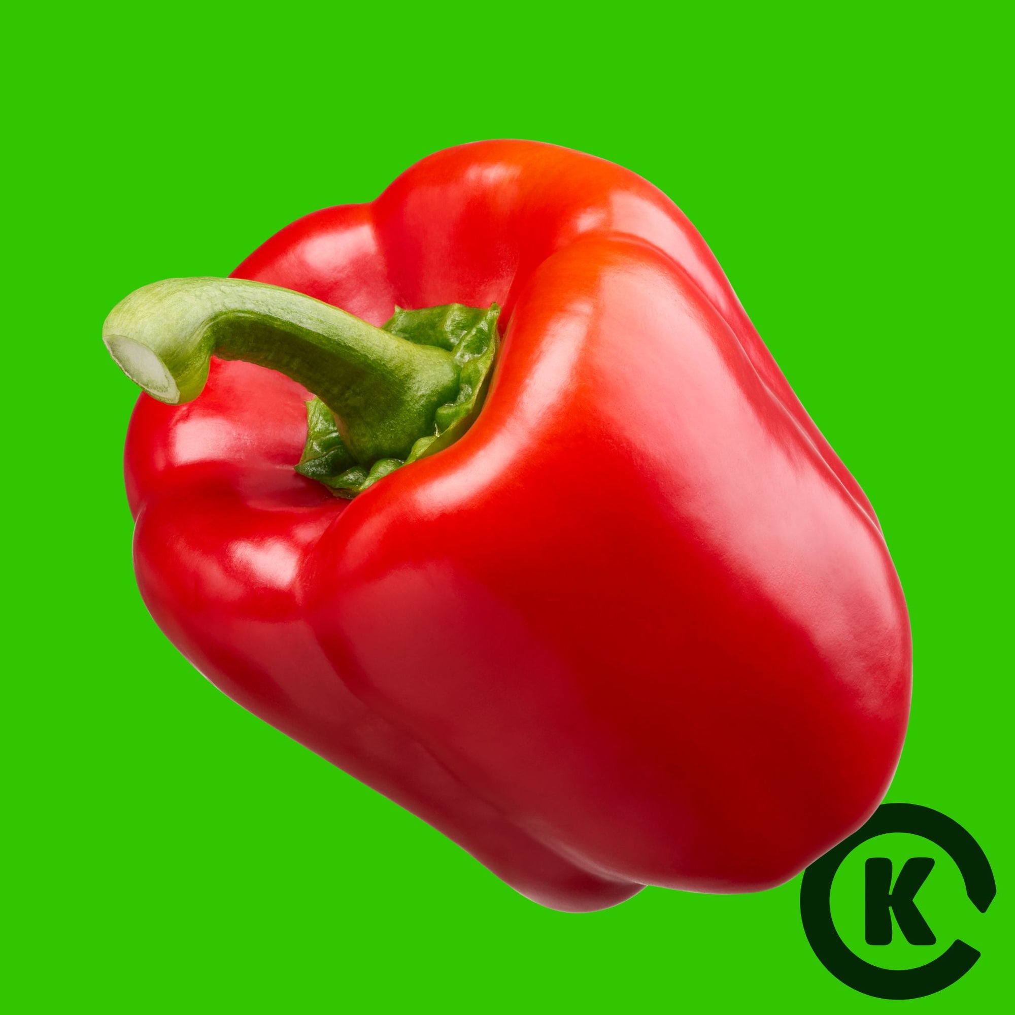 CAPSICUM RED